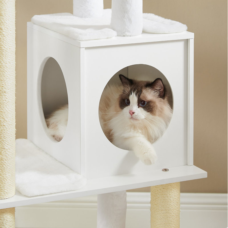 Tour pour chat 65 pouces, Blanc