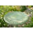 Onalaska Birdbath-1471736229