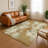 Premium Machine Washable Mayfield AMF2066 Abstract Rug-1759454062-1759454075
