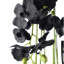 Anneus Arrangement in Pot