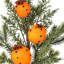 18 "Evergreen avec un choix de clou de girofle orange