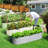 Anesa Modular Metal Raised Garden Bed-1540775447-1579233578
