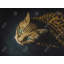 " Bengal Cat " on-98694501