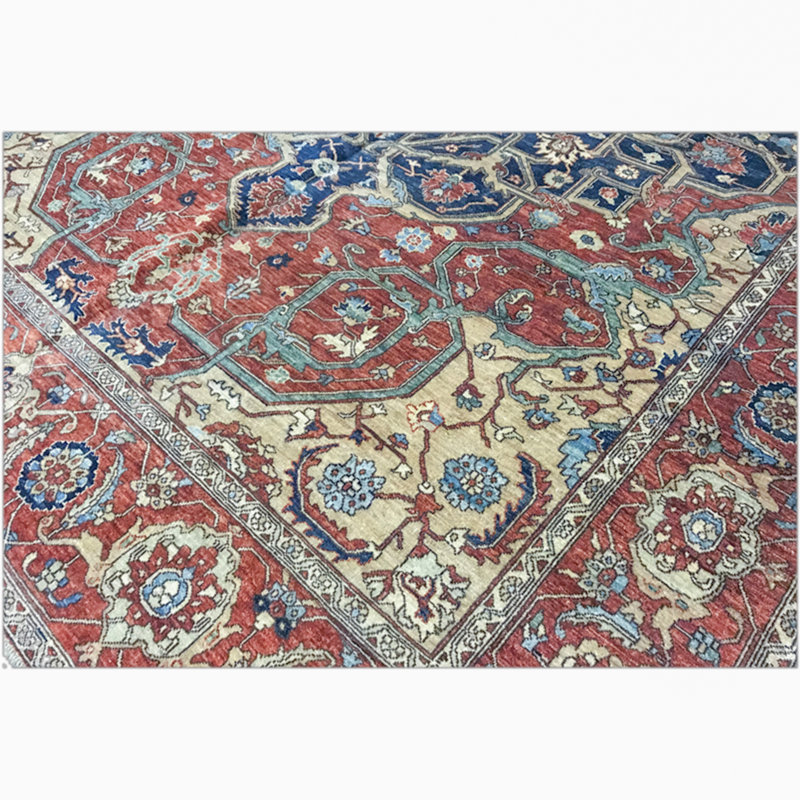 Sultanabad One-of-a-Kind 9'9" X 13'6" Area Rug