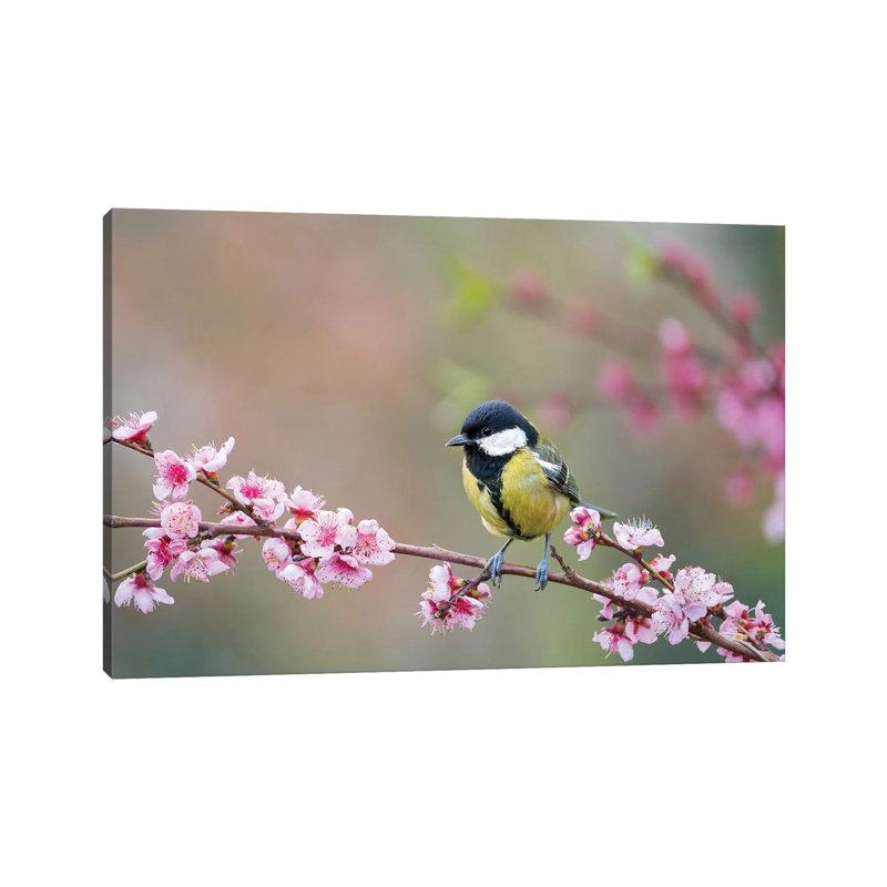 MTU154 - Mésange charbonnière au printemps, H 26 po x l 40 po x 1,5 po