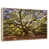 Floating Frame Natural Wood selected