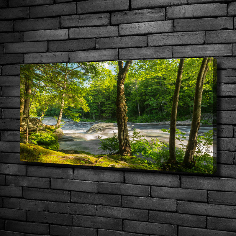 River In The Forest - No Frame Print on Canvas