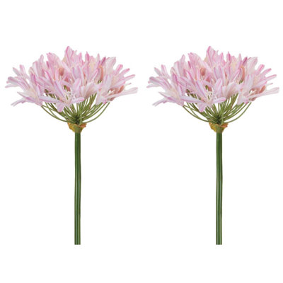 Agapanthus Flower Stem (Set of 2)