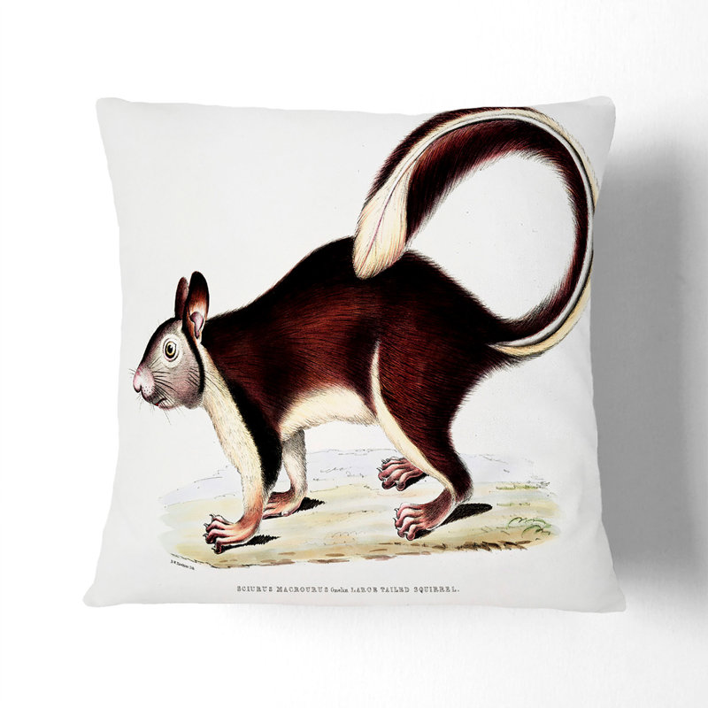 Square Cushion, 55cm H x 55cm W x 20cm D, Black