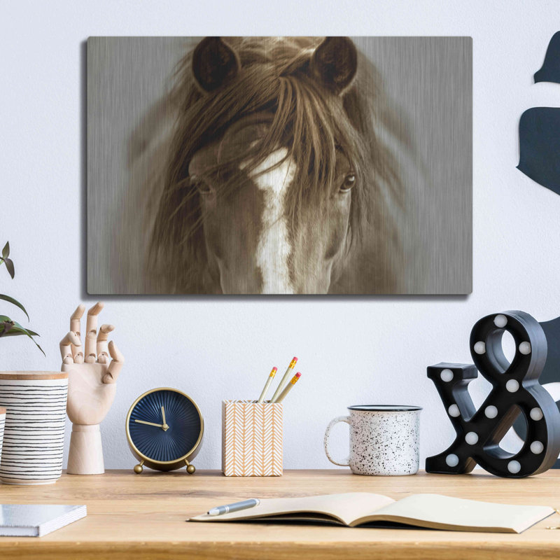 «Ghost Horse» par Lisa Dearing, Meta «Ghost Horse» par Lisa Dearing