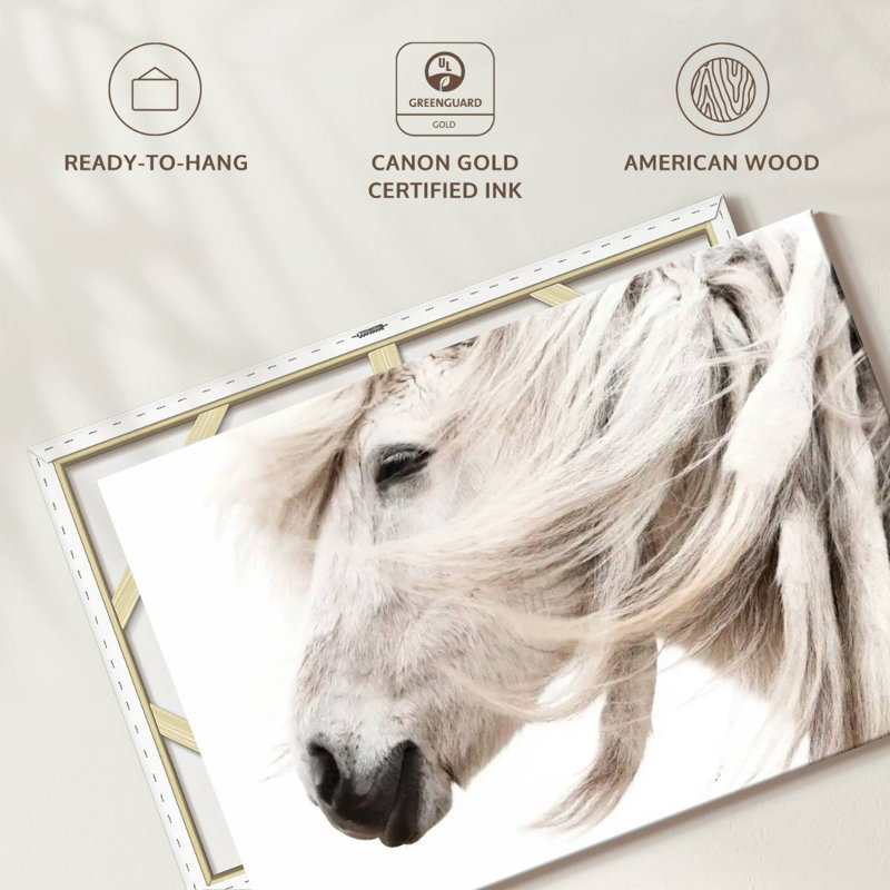 Brampt White Horse Mane, 34" H x 51" W