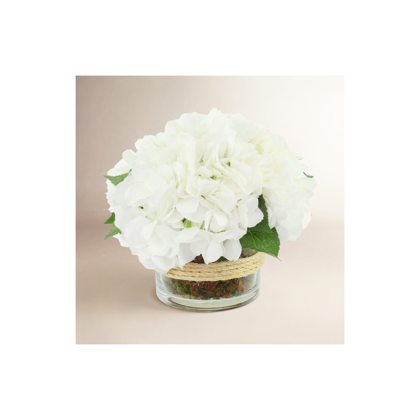 Hydrangea in Glass vase with Moss, White
