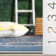 Anjeli Performance Geometric Indoor/Outdoor Area Rug