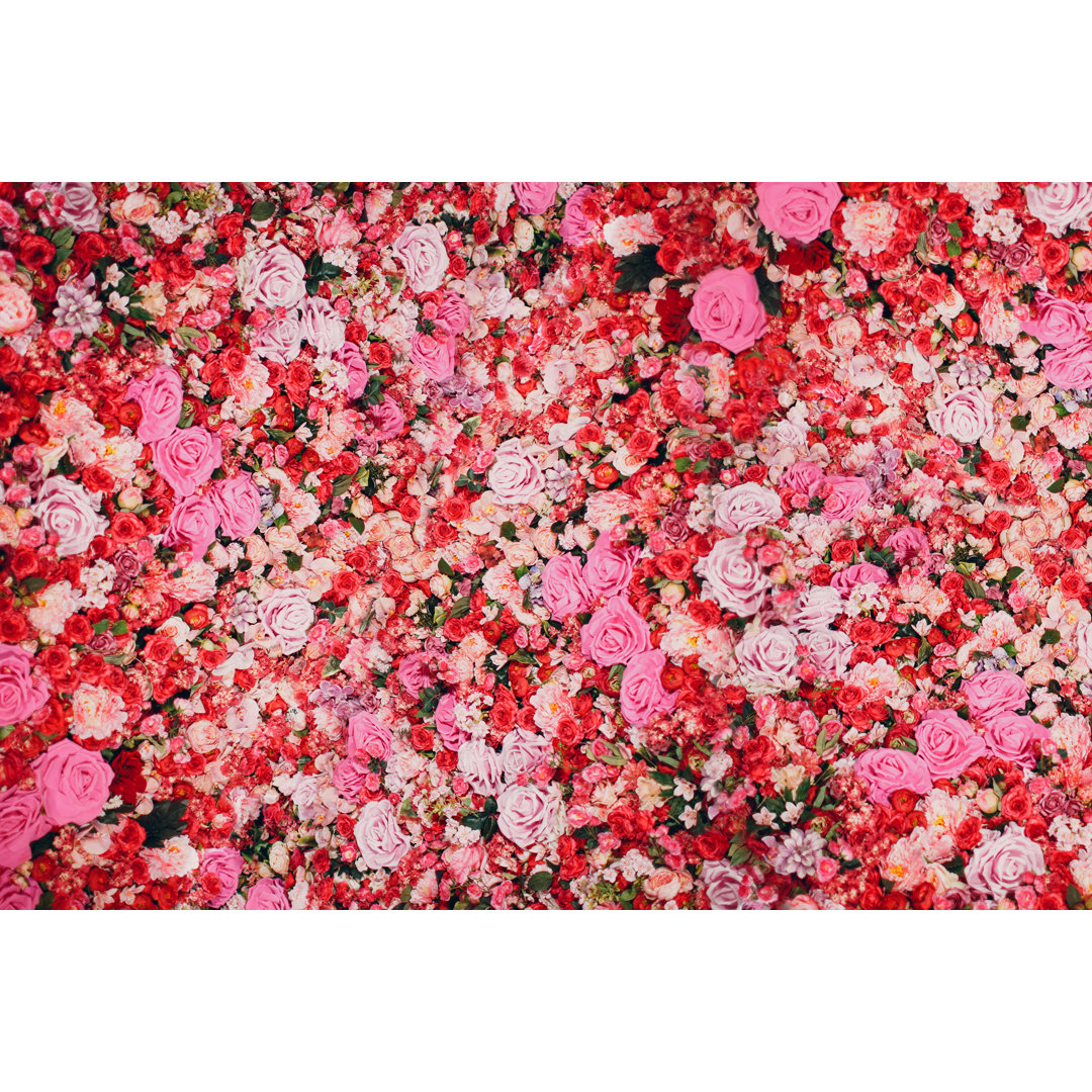 Leinwandbild Wand aus roten und rosa Rosen