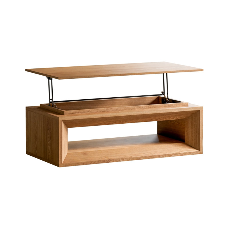 Table basse à plateau relevable 43,3 po avec rangement, H 15,43 po x L 43,3 po x l 23,62 po, Noir