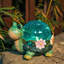 Tortues de jardin Nathoo