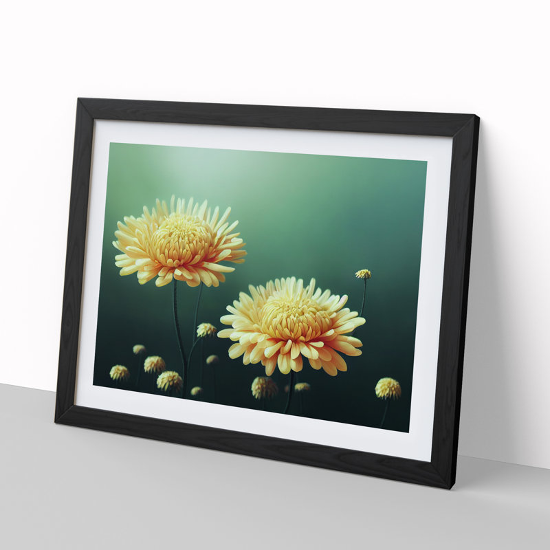 Intriguing Chrysanthemum Flowers - Single Picture Frame Painting, Black, 46cm H x 64cm W x 2cm D