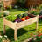 Raised Garden Bed