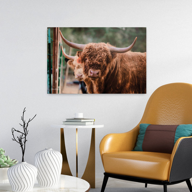 «The Bull», art contemporain abstrait, H 16 po x l 24 po