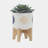 S/2 5/8" FUNKY PLANTER W/ STAND, WHITE
