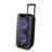 Decorative Radio with Bluetooth
