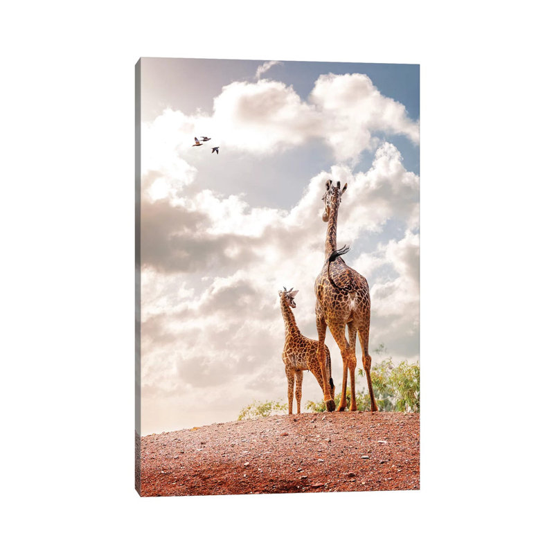 Mother And Baby Giraffe Looking Out Into Sunrise by Susan Schmitz - Wrapped Canvas Gallery-Wrapped Canvas Giclée