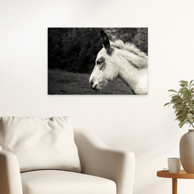 Art contemporain cheval contemporain