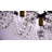 Mahailey 6 - Light Crystal Kitchen Island Linear Pendant