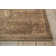 Oriental Indoor Rug
