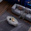 Table basse ovale-730978510