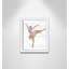 Ballet toute la journée 3-48187471-48187458