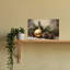 «Golden Holiday Elements», impression d'art rustique sur bois rustique traditionnel-129720339