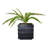 Bragdon Artificial Succulent Plant in Planter