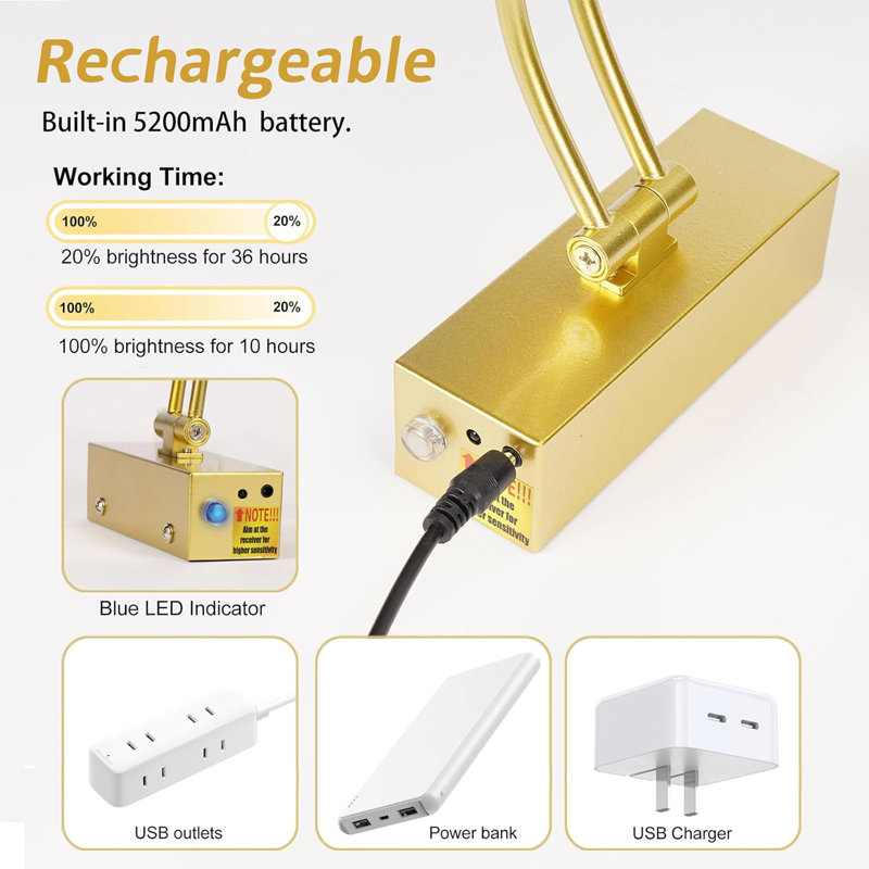 16'' Dimmable Wall Mount Picture Light with Remote, Gold