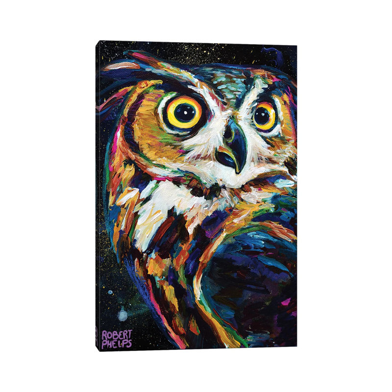 Night Owl by Robert Phelps - Wrapped Canvas Print, 45.72cm H x 30.48cm W x 1.91cm D