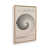 American Maple Floater Framed
