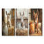 Portrait d'âne à la grange I - Collection de décorations murales d'âne-763571315-763571312-763571317