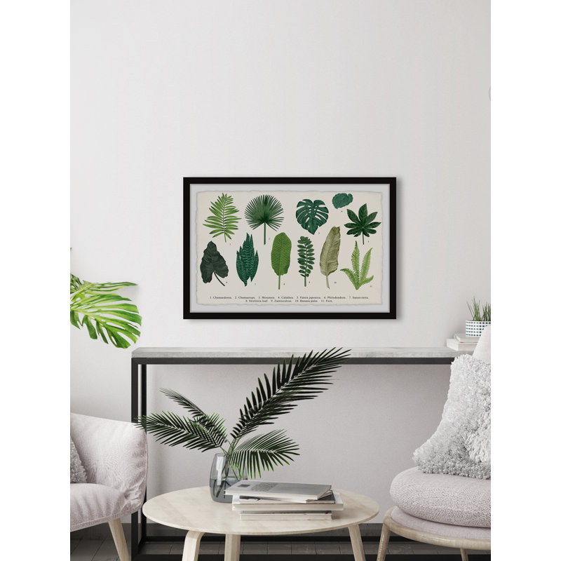 " Calathea ", 12" W x 8" H x 1.5" D