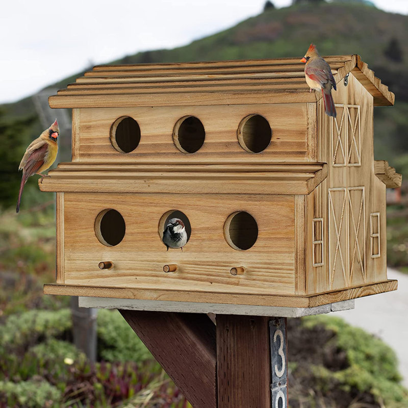Maison d'oiseaux 10 po x 12,8 po x 8,7 po Emmarose