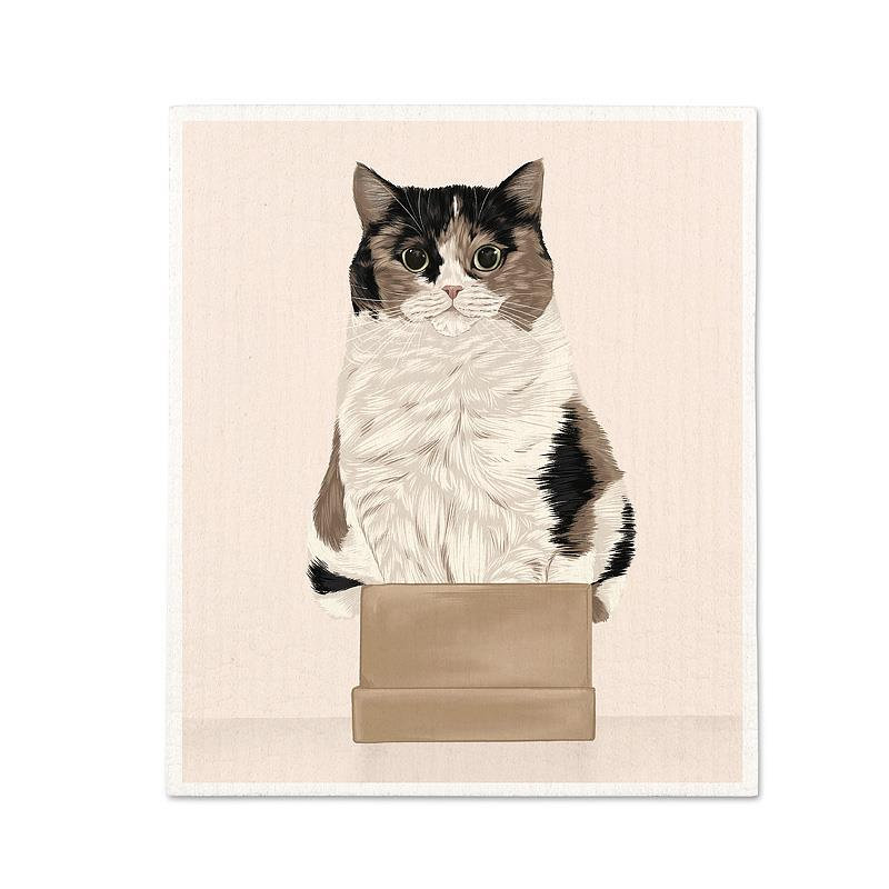 Chat dans une boîte