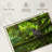 Brampt Mossy Tree Owl-108692416