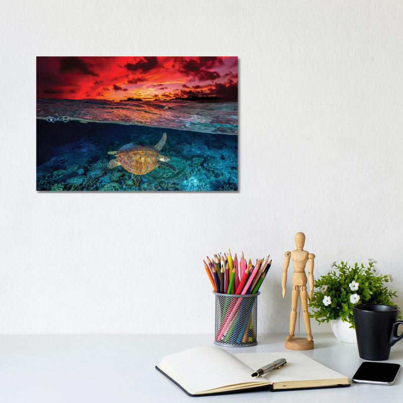 Sunset Swimming by Jordan Robins - Wrapped Canvas Print, 20.32 cm H x 30.48 cm W