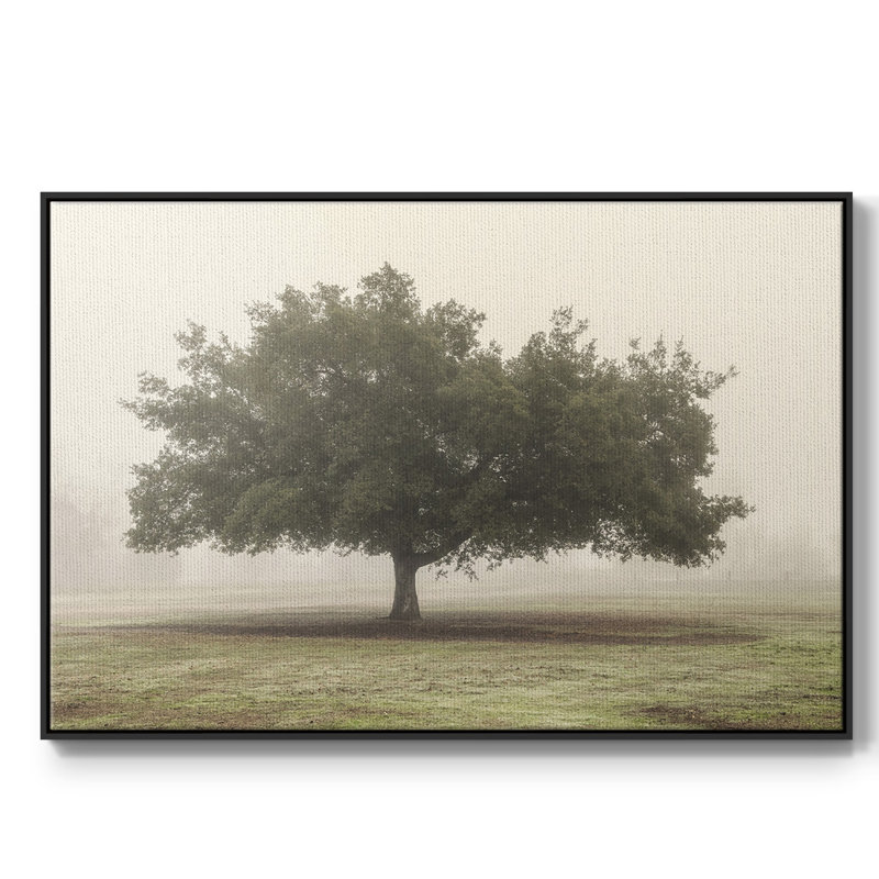 Arbres dans le brouillard II, Toile encadrée noire, H 25 po x l 37 po x P 2 po