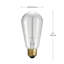 Ampoule à intensité variable, incandescente ST19, 60 watts (ou équivalant à 60 watts), blanc chaud (2 200 K), culot moyen (standard) / E26