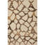 Abstract Area Rug in Beige/Brown