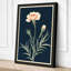 Classical Carnation Study Botanical - Wrapped Canvas-839063106-839063107
