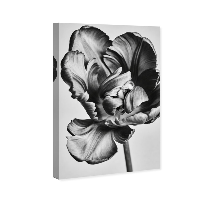 Graphite Flower Print by Oliver Gal, 15" H x 10" W, Gallery Wrapped