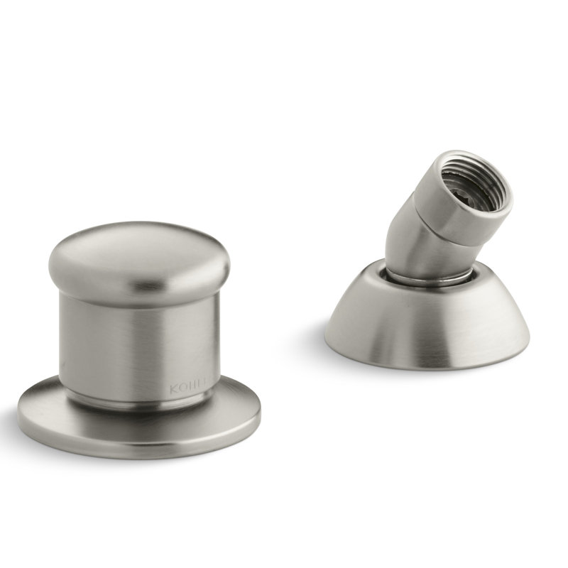 Two-Way Diverter Valve and Handshower Hose Guide, Vibrant Brushed Nickel