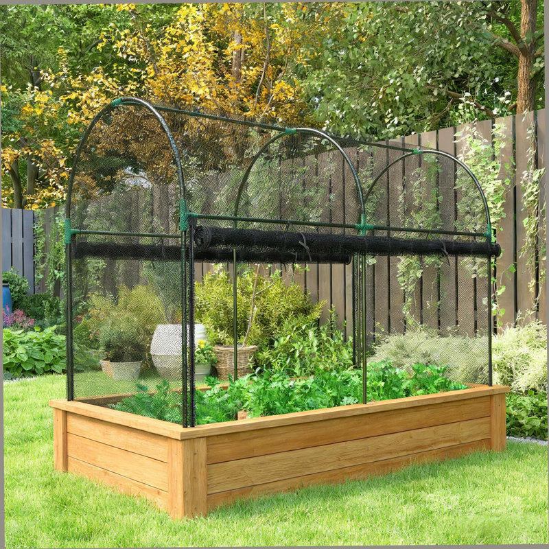 Cage à plante spacieuse, grande cage de culture, tente de protection des plantes