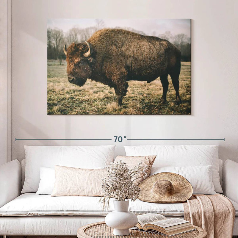 Solitary Bison IV, 32" H x 48" W